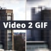 Vignette Encode video to GIF