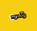 MyDog365 - Logo Animation-cover